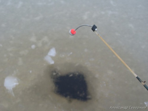 Статья о зимней рыбалке на окуня с зимними блеснами AUQA. 