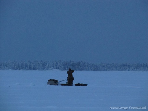 Статья с фотографиями о зимней рыбалке в Архангельской области. Самой уловистой оказывается зимняя блесна Аква Срез, на которую неоднократно ловится северный сиг. 