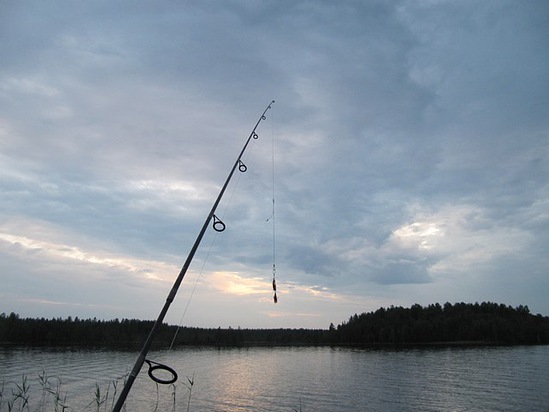 Летняя рыбалка на блесна вертушки. Ловля окуня со спиннингом на Ижмозере.