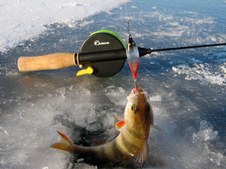 БЛЕСНА НА ОКУНЯ Зимняя рыбалка | Подлёдная рыбалка, Одежда для рыбалки, Рыболовные приманки