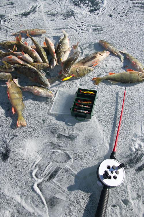 Зимняя рыбалка с балансирами AQUA