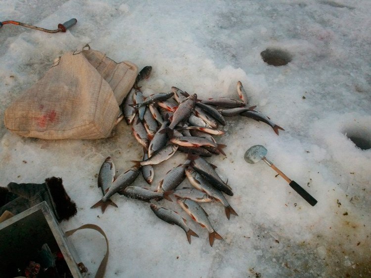 Статья о рыбалке на Ладоге с балансирами Aqua