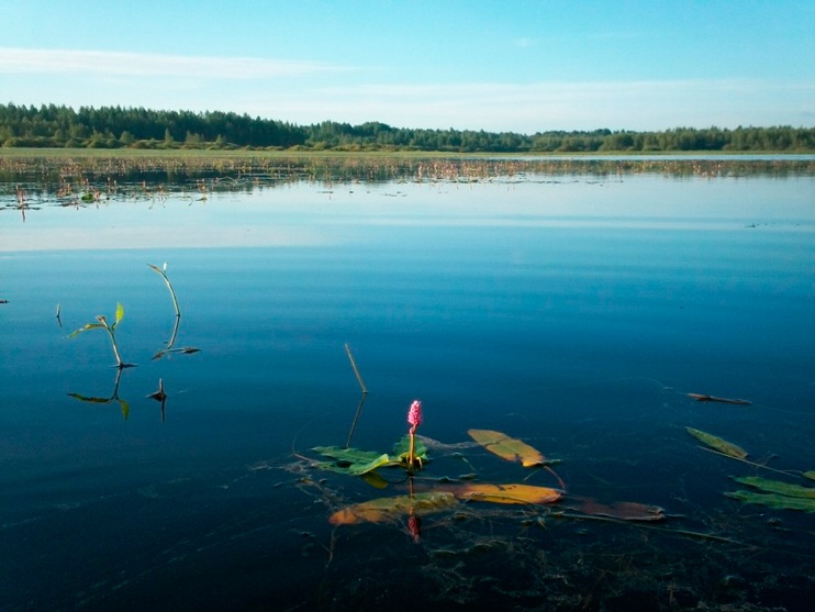 Статья о летней рыбалке на спиннинг с приманками AQUA.