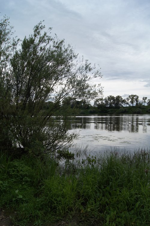 Отчет о рыбалке спиннингом на реке Оке.