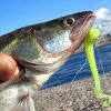 Рыбалка с плетеными шнурами Aqua