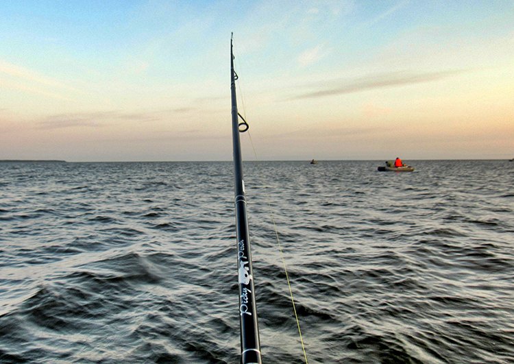 Рыбалка на Финском заливе. Тест спиннинга Ryobi Picky Perch. Ловля судака на уловистые силиконовые приманки Ryobi.