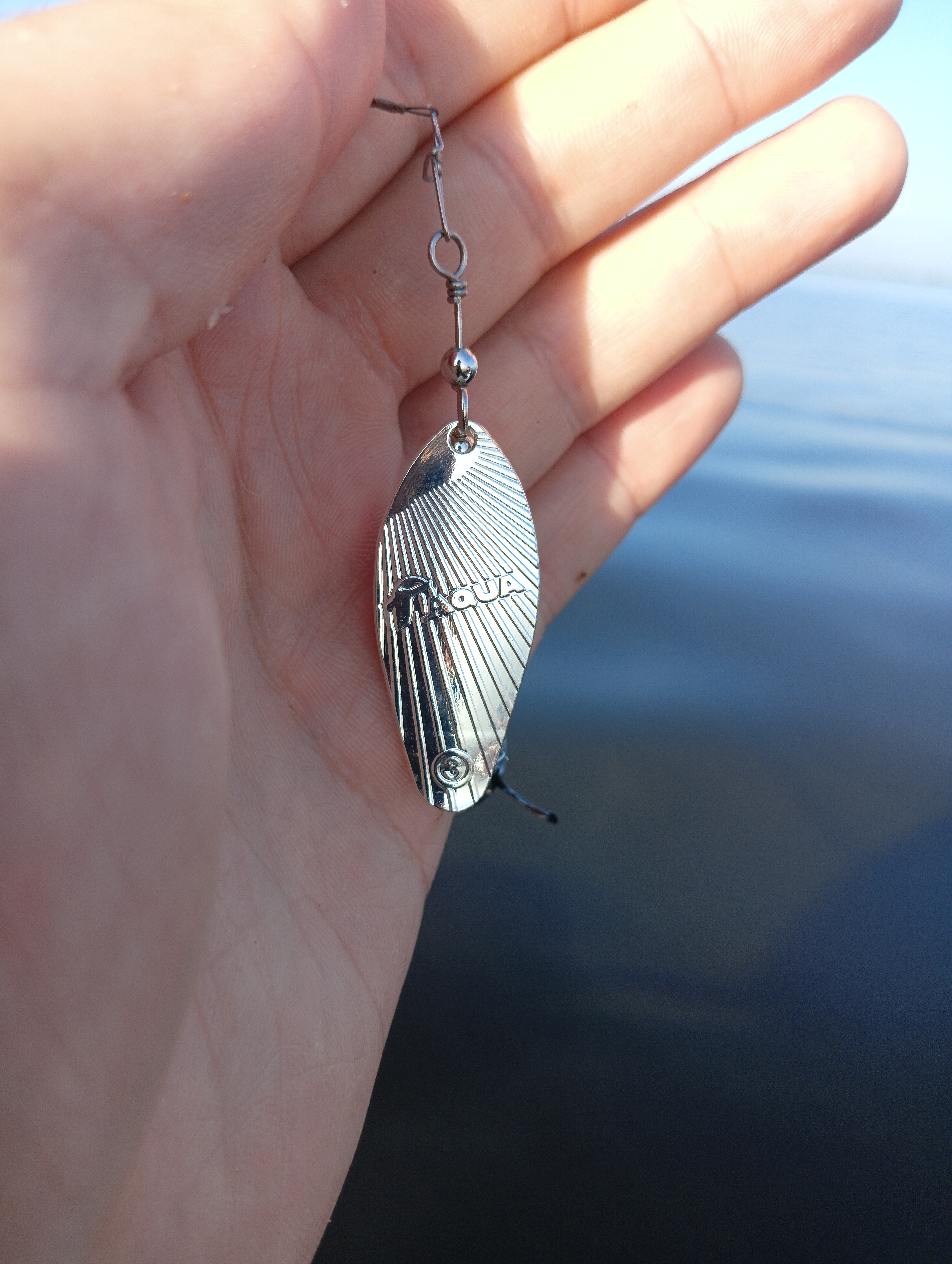 blesna-vertushka-aqua-shell