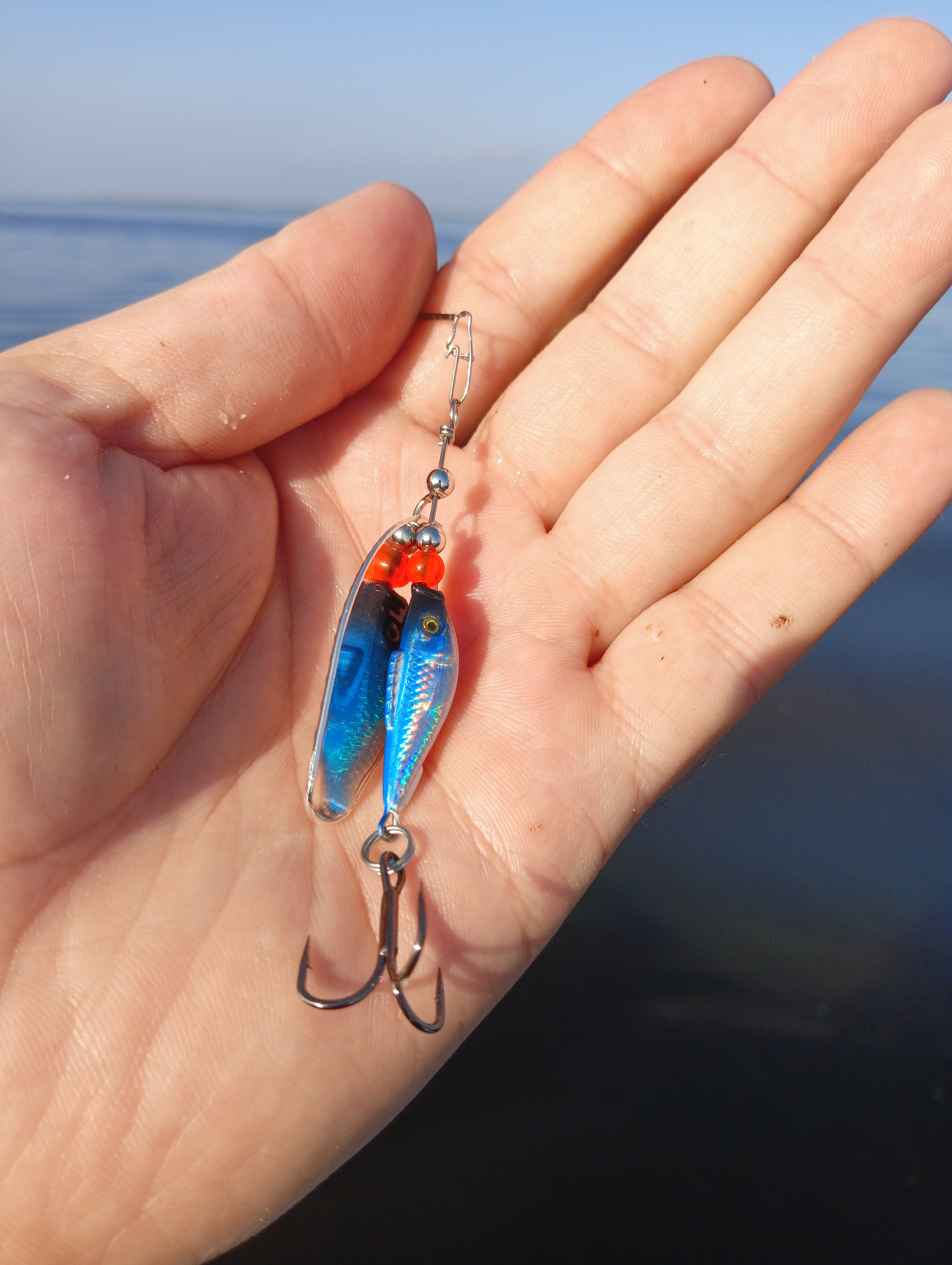 blesna-vertushka-aqua-shell