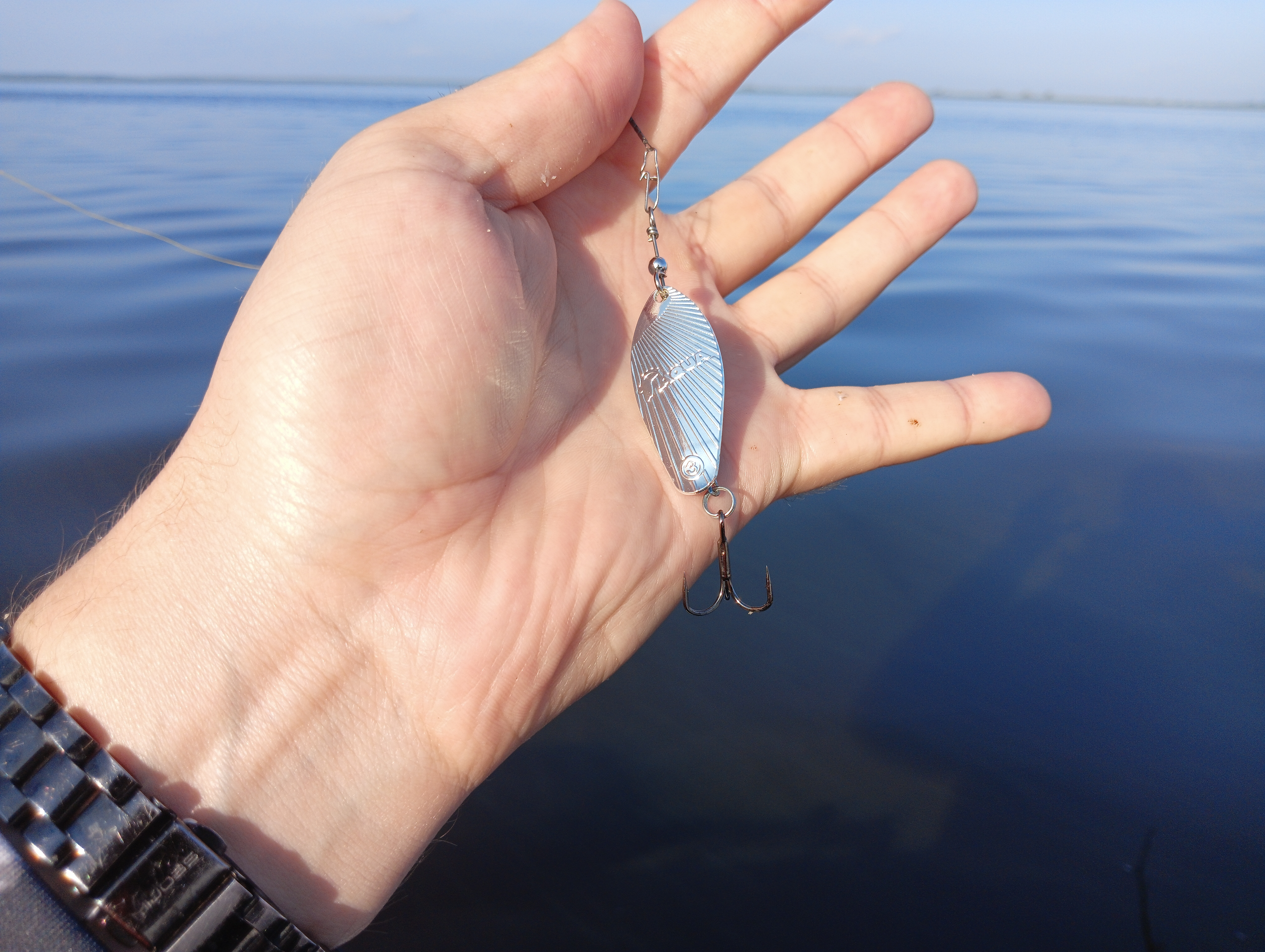 blesna-vertushka-aqua-shell