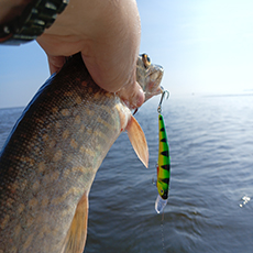 AQUA Яппи HEAVY — победа настойчивости над сомнениями в деле щучьей охоты