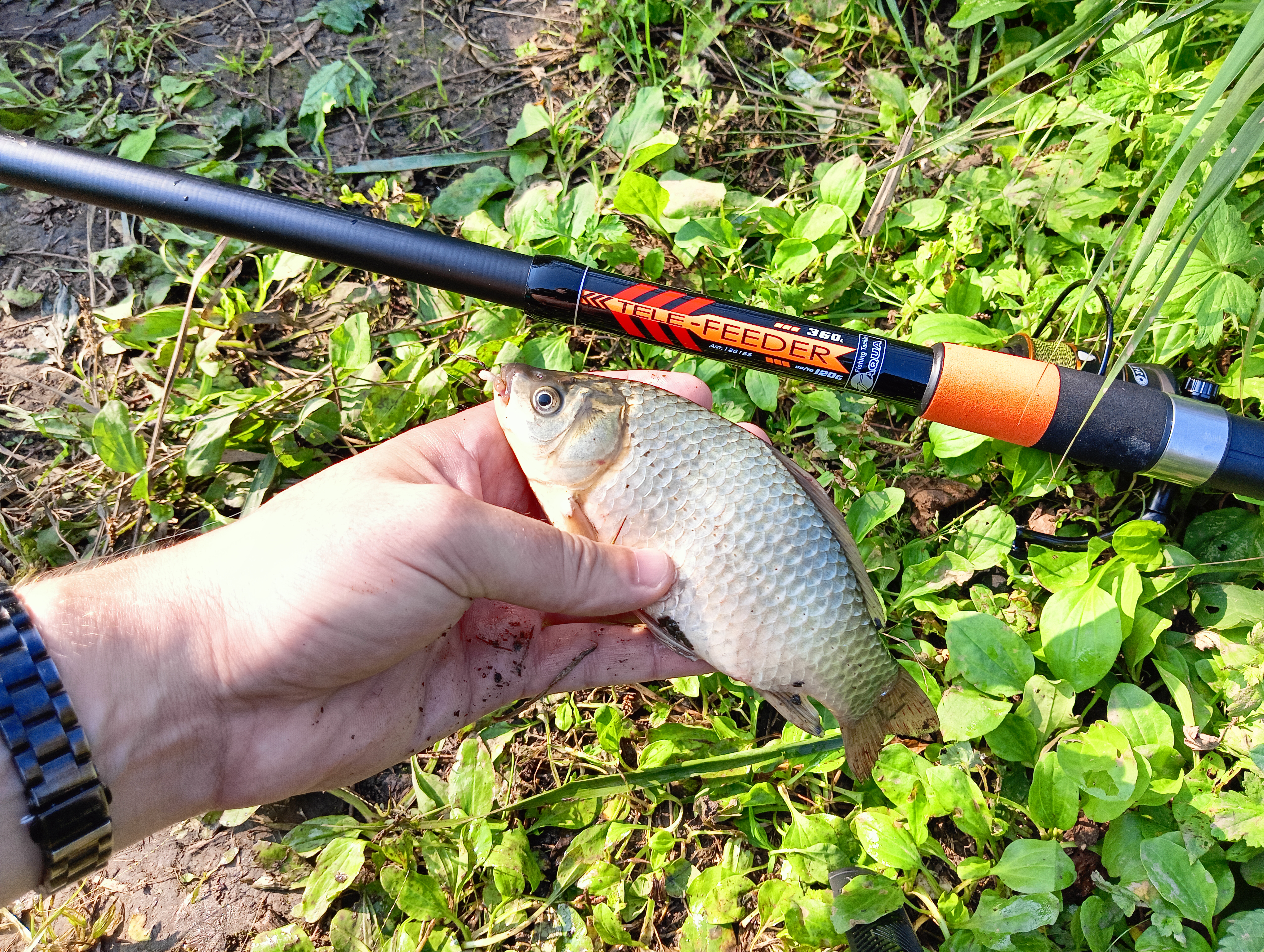 roods-aqua-tele-feder