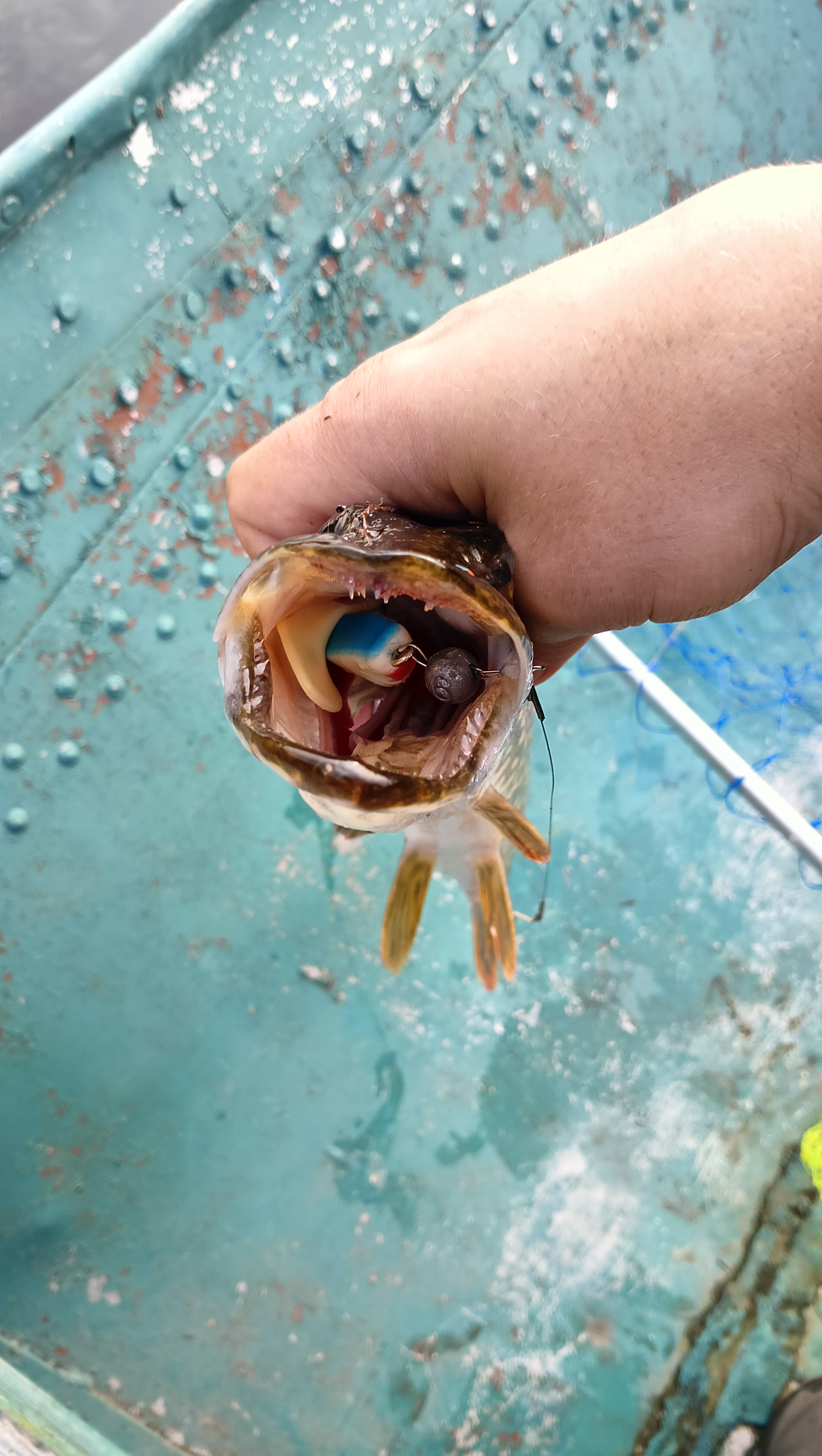 silicon-baits-aqua-flat