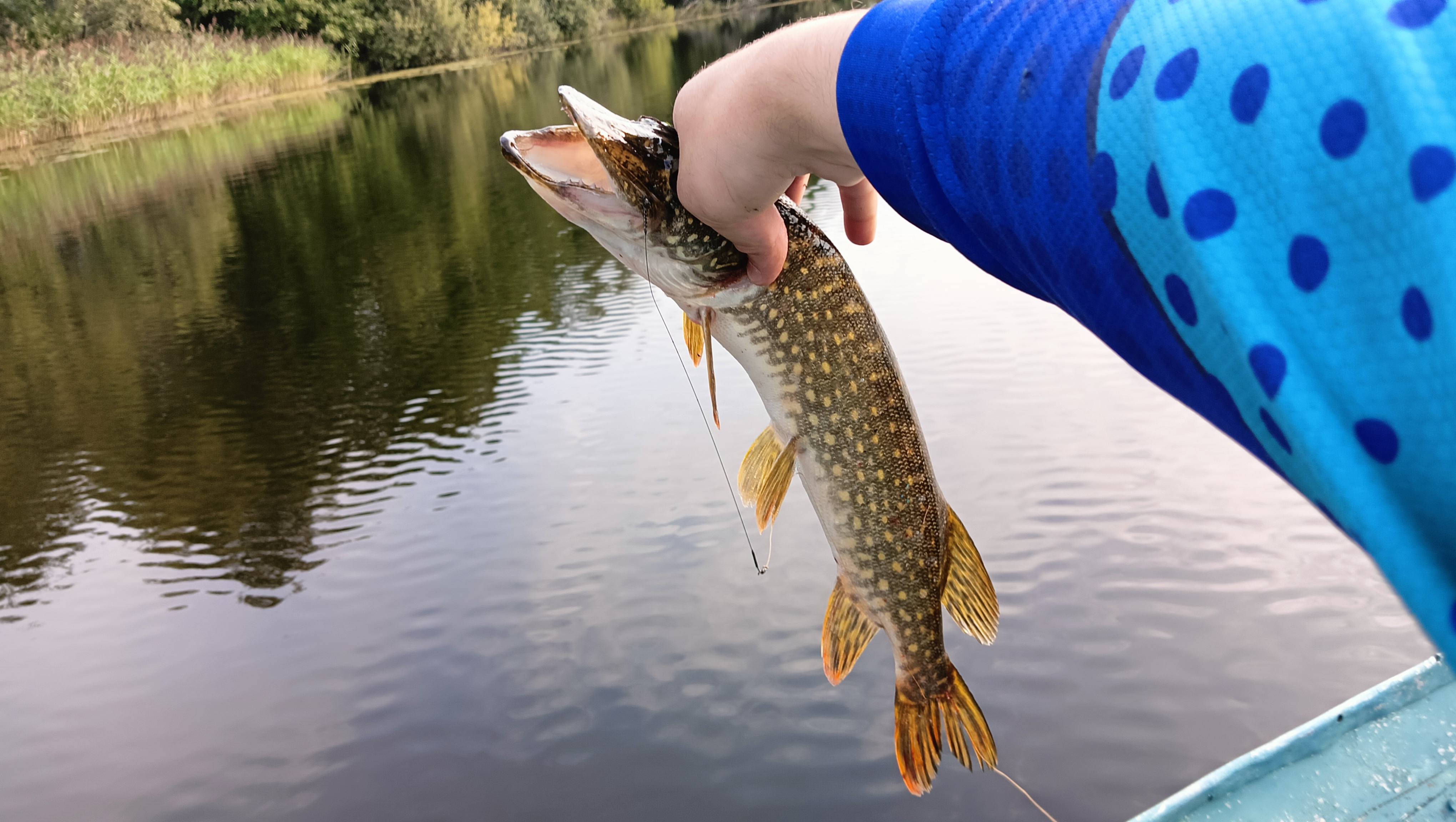 silicon-baits-aqua-flat