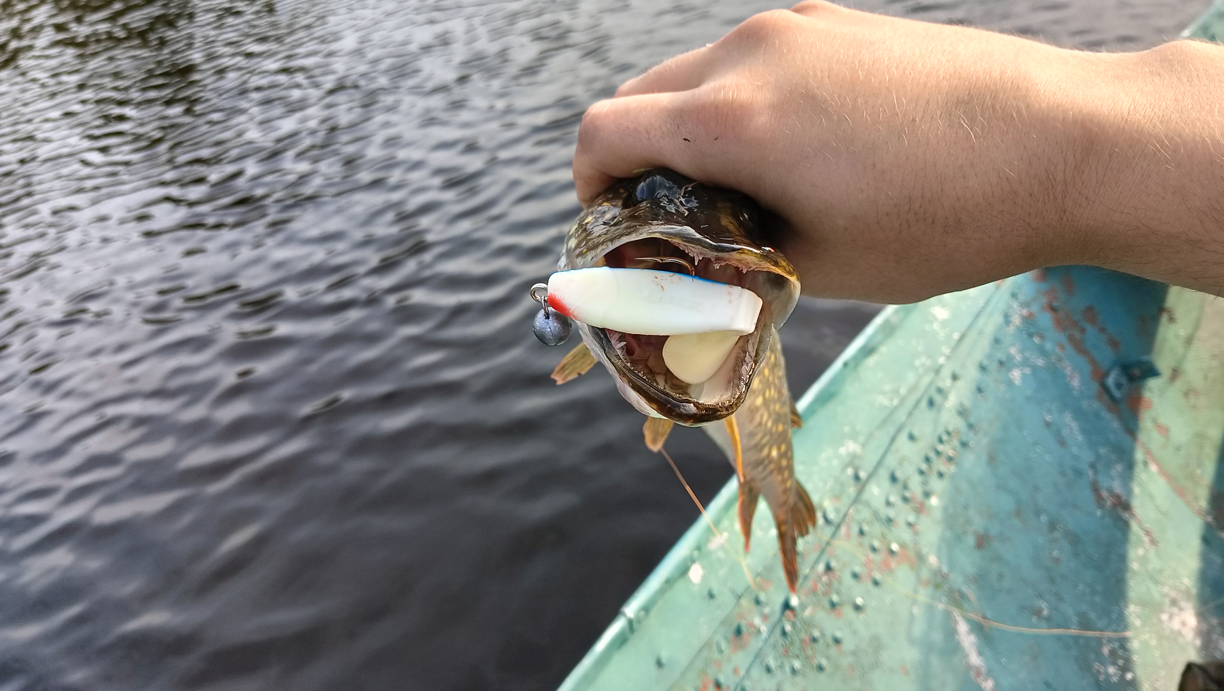 silicon-baits-aqua-flat