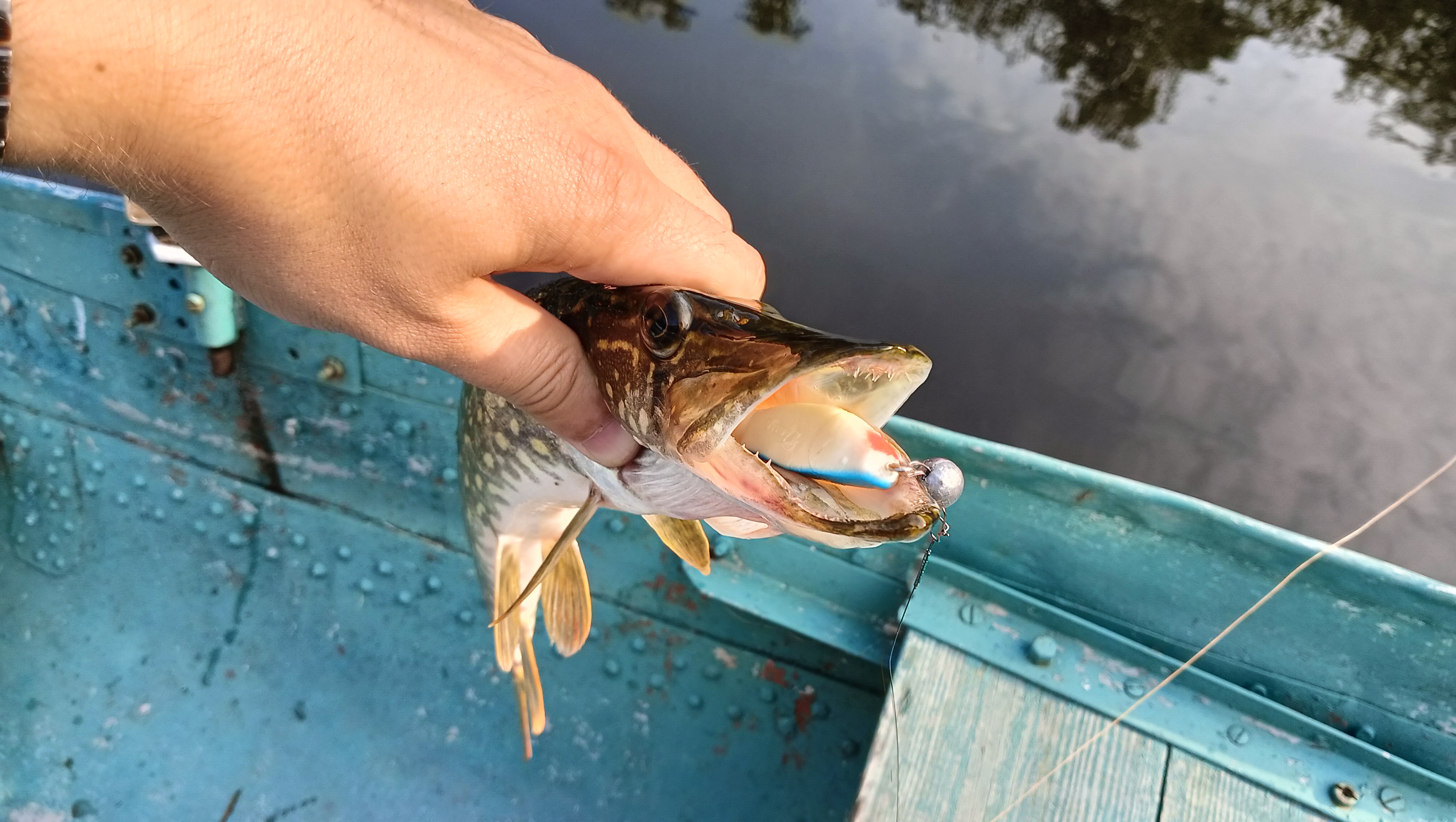 silicon-baits-aqua-flat