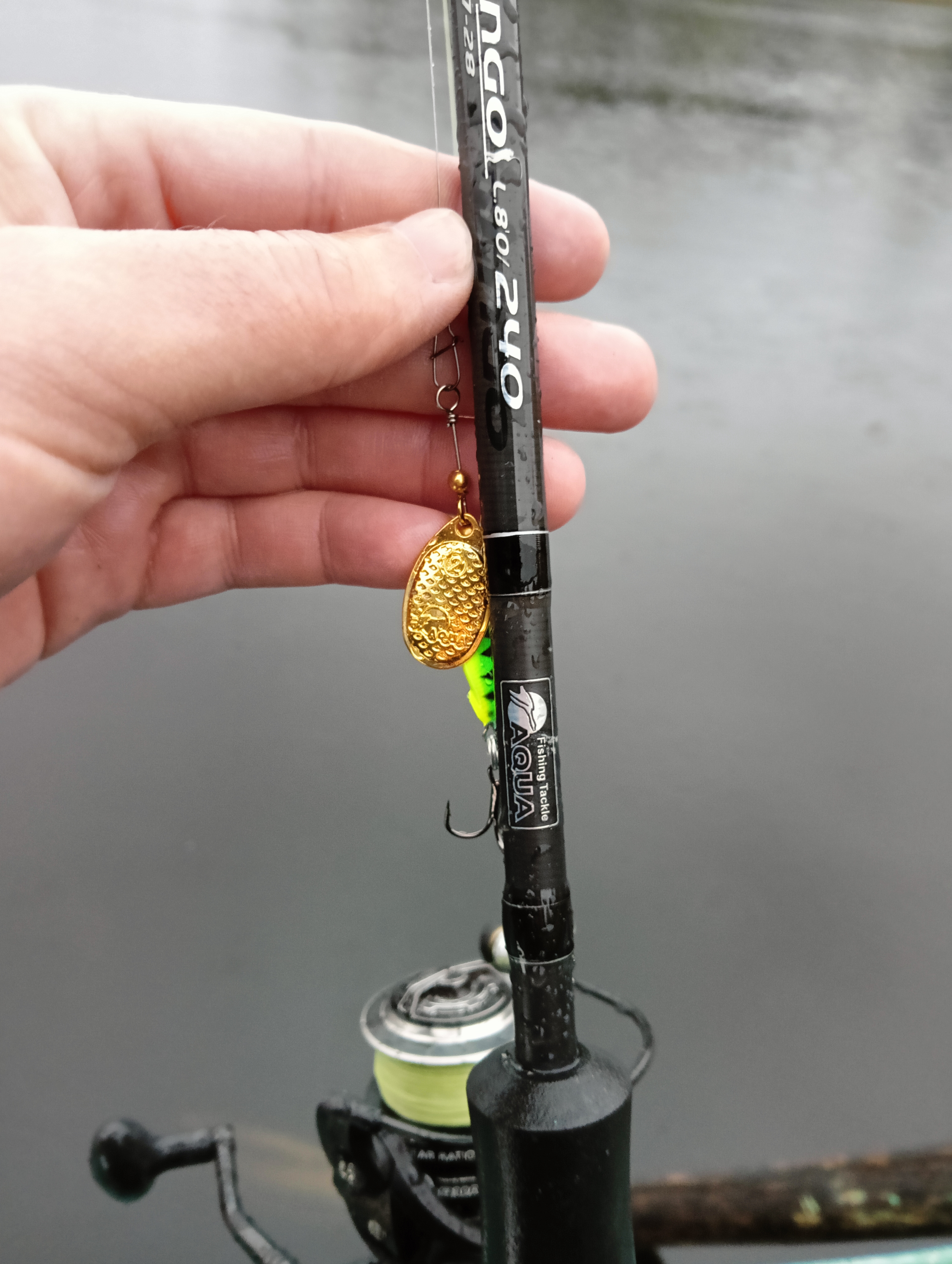 obzor-blesni-aqua-fish-comet