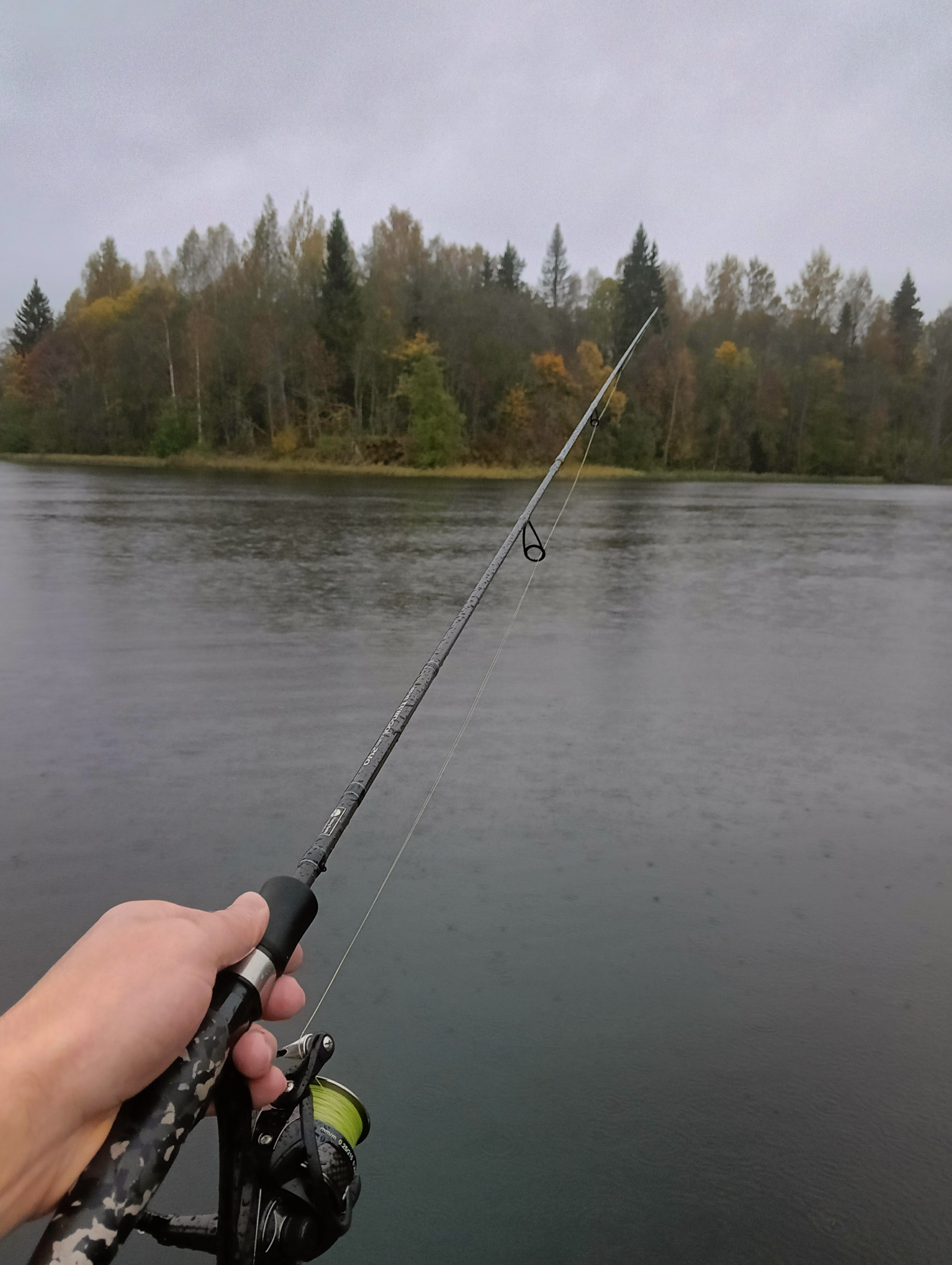 obzor-blesni-aqua-fish-comet