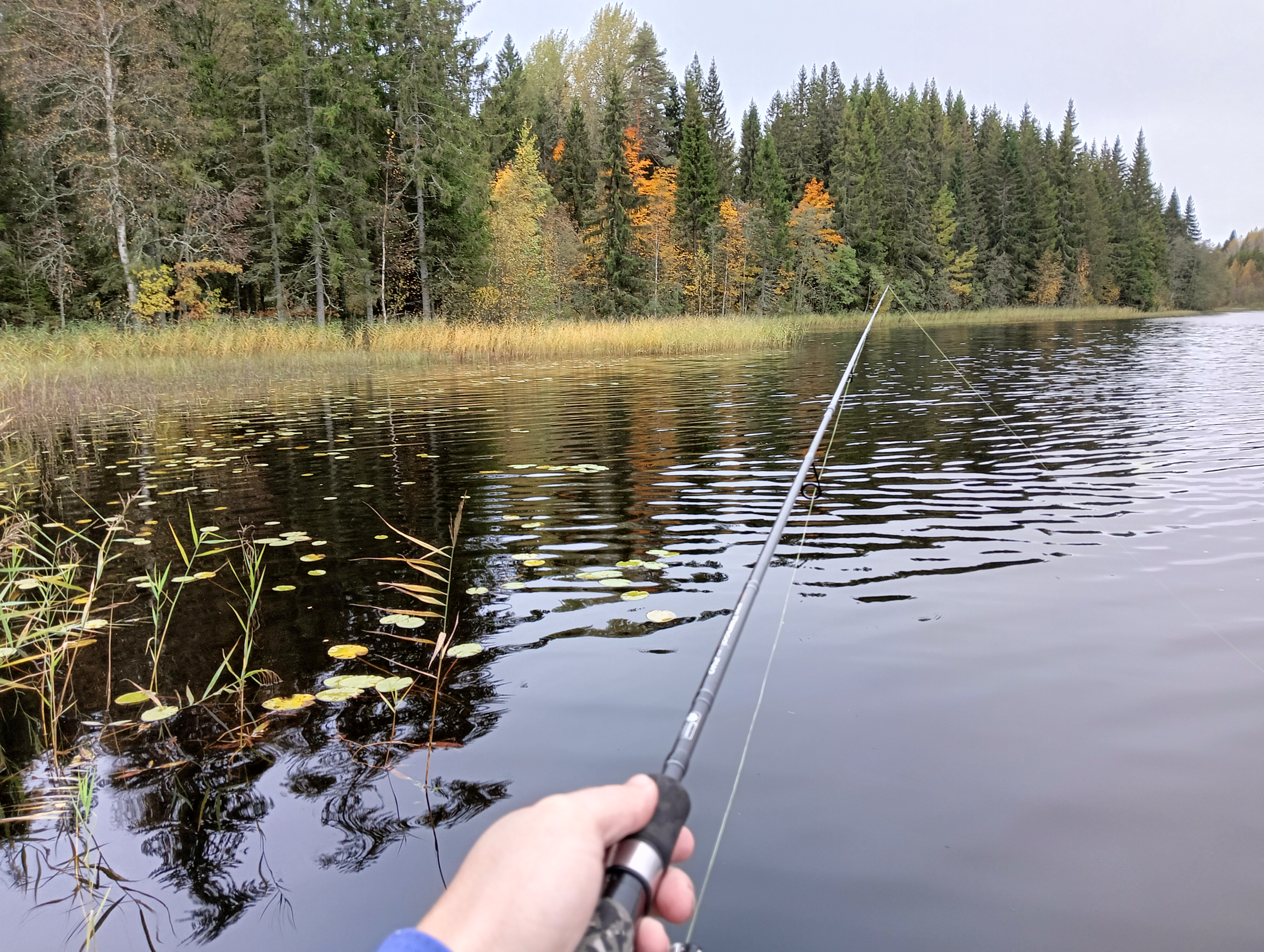 obzor-voblera-aqua-schuka