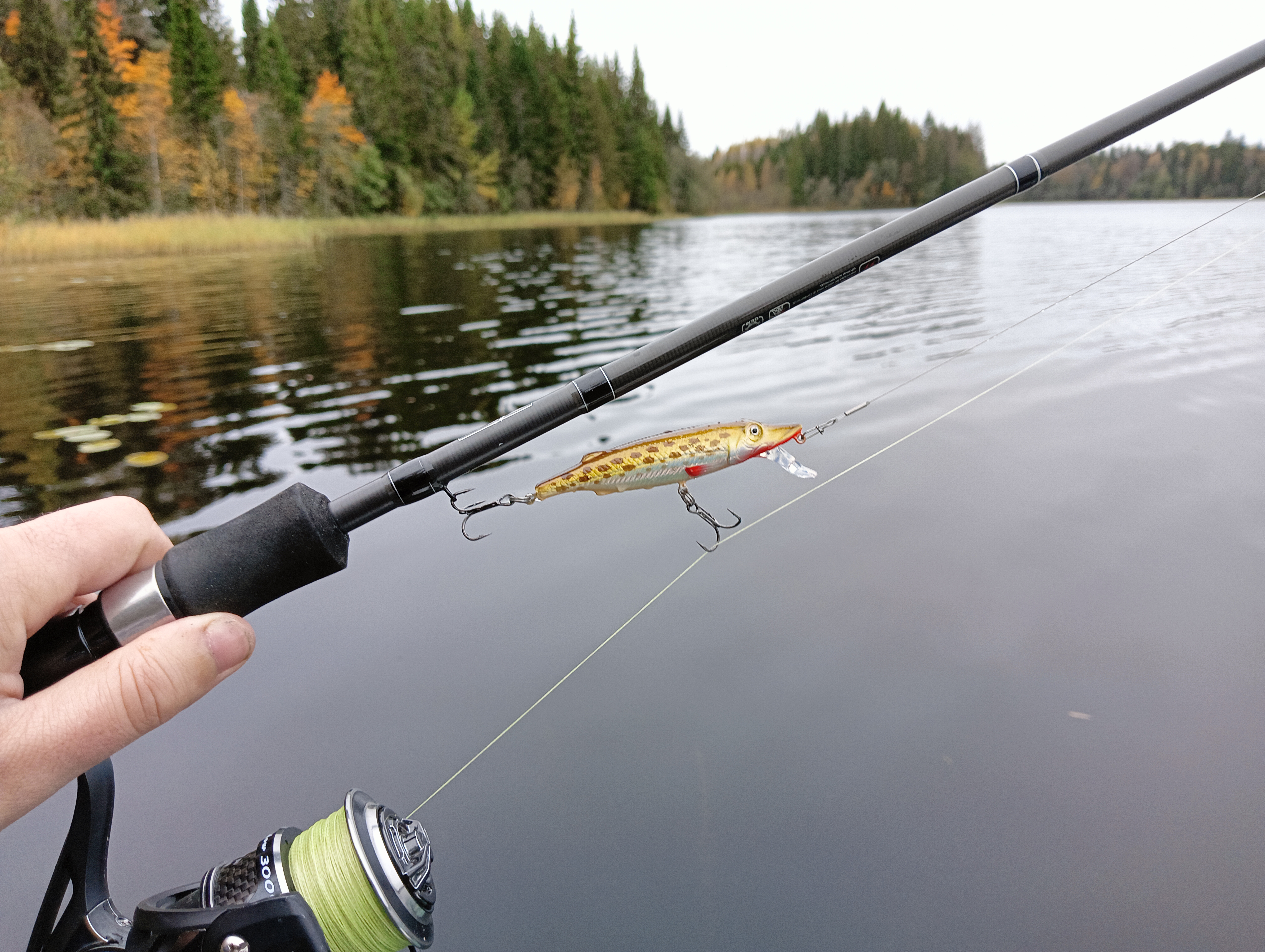 obzor-voblera-aqua-schuka