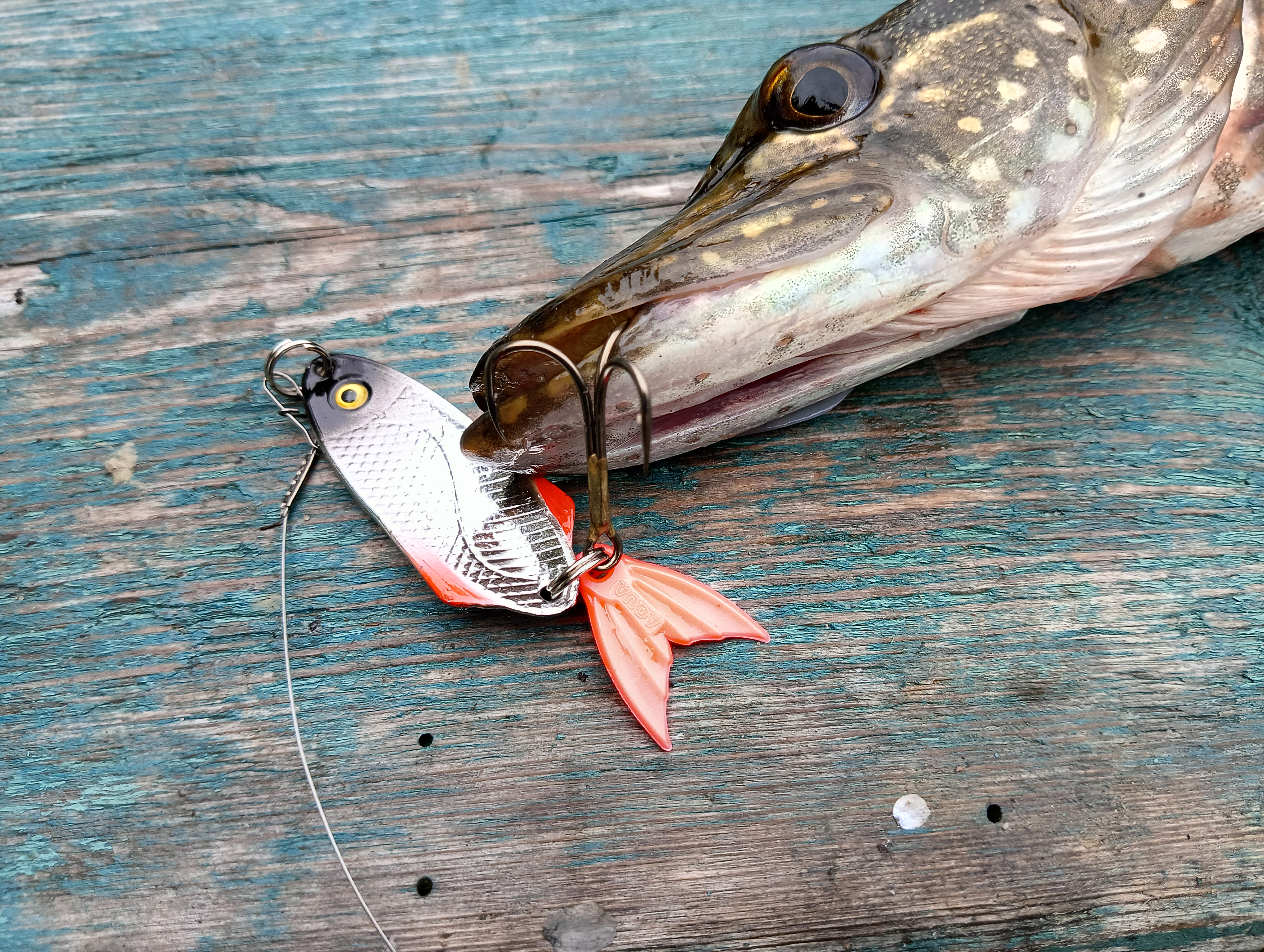 obzor-blesni-aqua-nord-cast