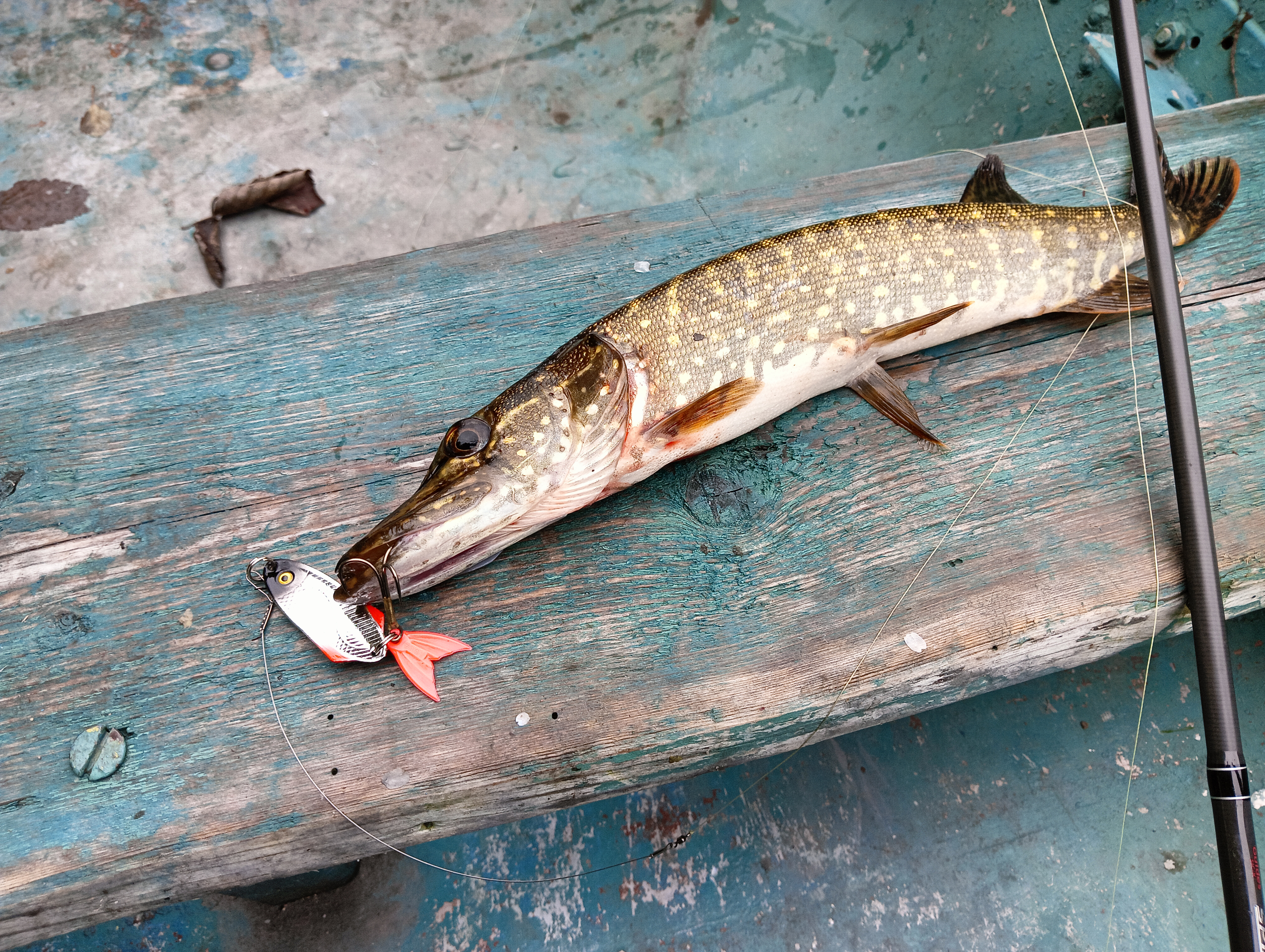 obzor-blesni-aqua-nord-cast