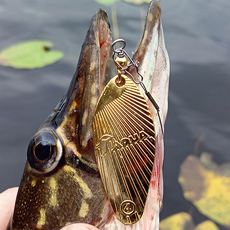 Рыбалка как спорт история одного противостояния