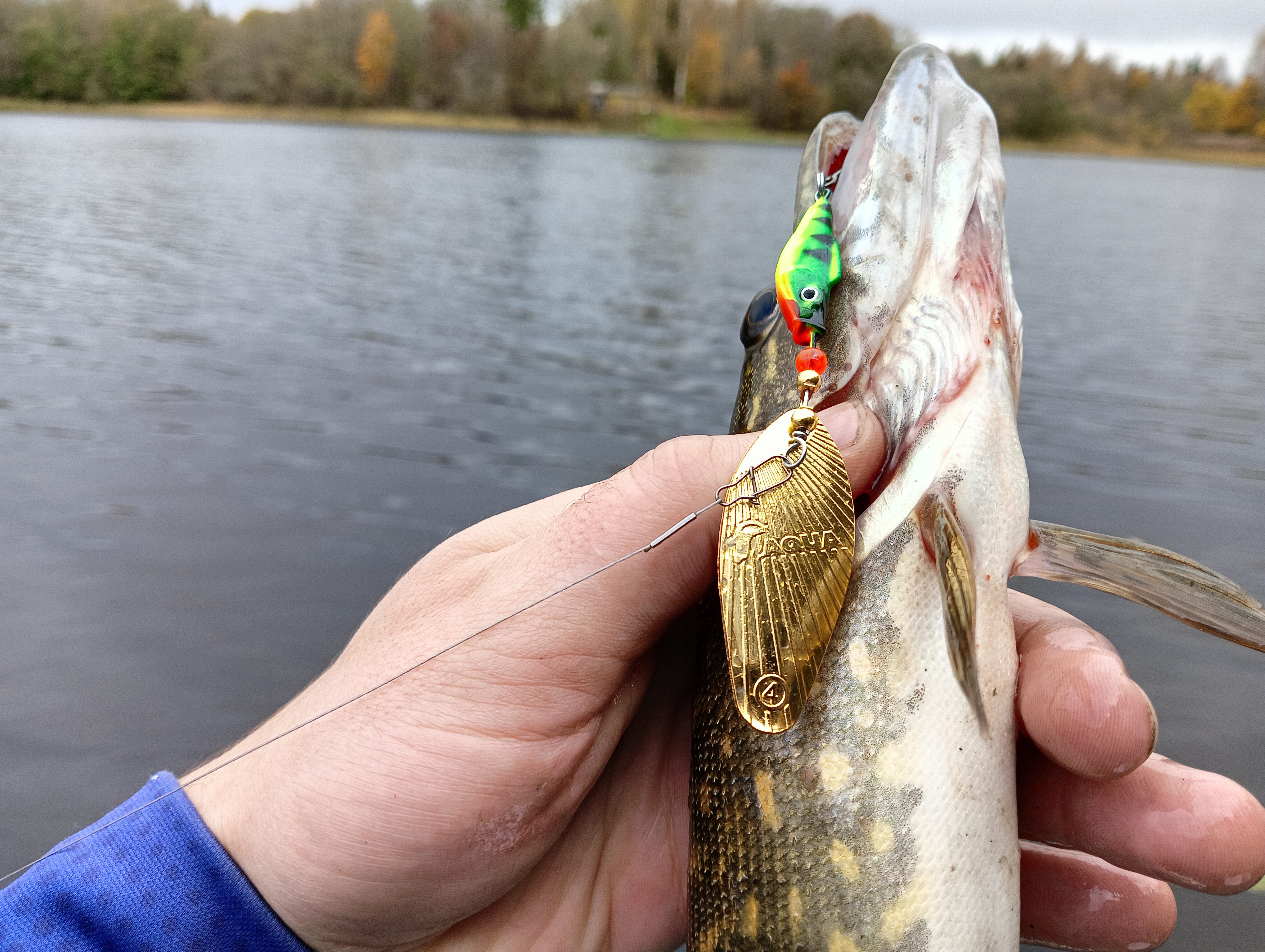 ribalka-kak-sport-istoriya-odnogo-protivostoyaniya