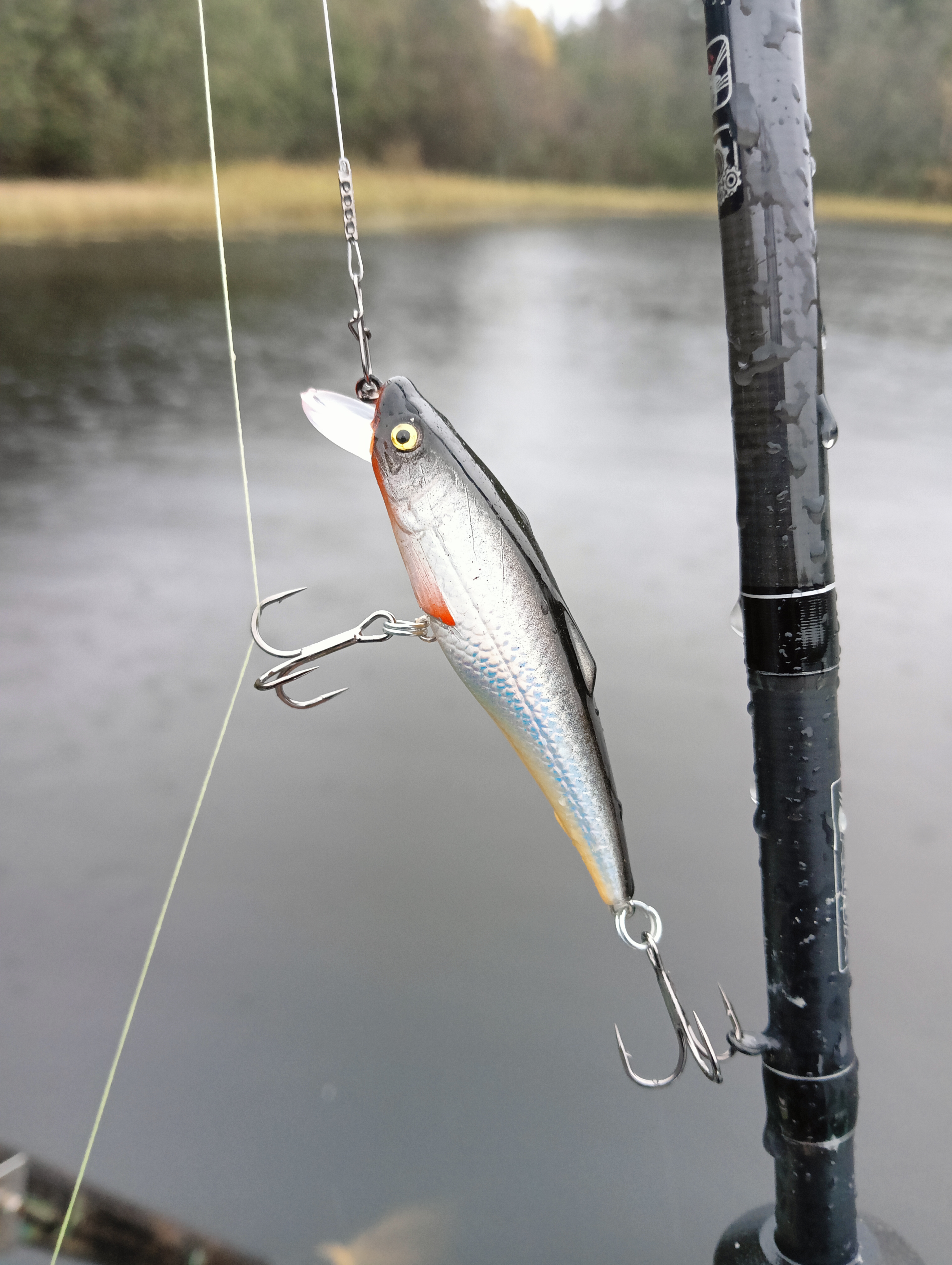 wobbler-aqua-kloss-and-two-pikes-fishing-against-the-forecast