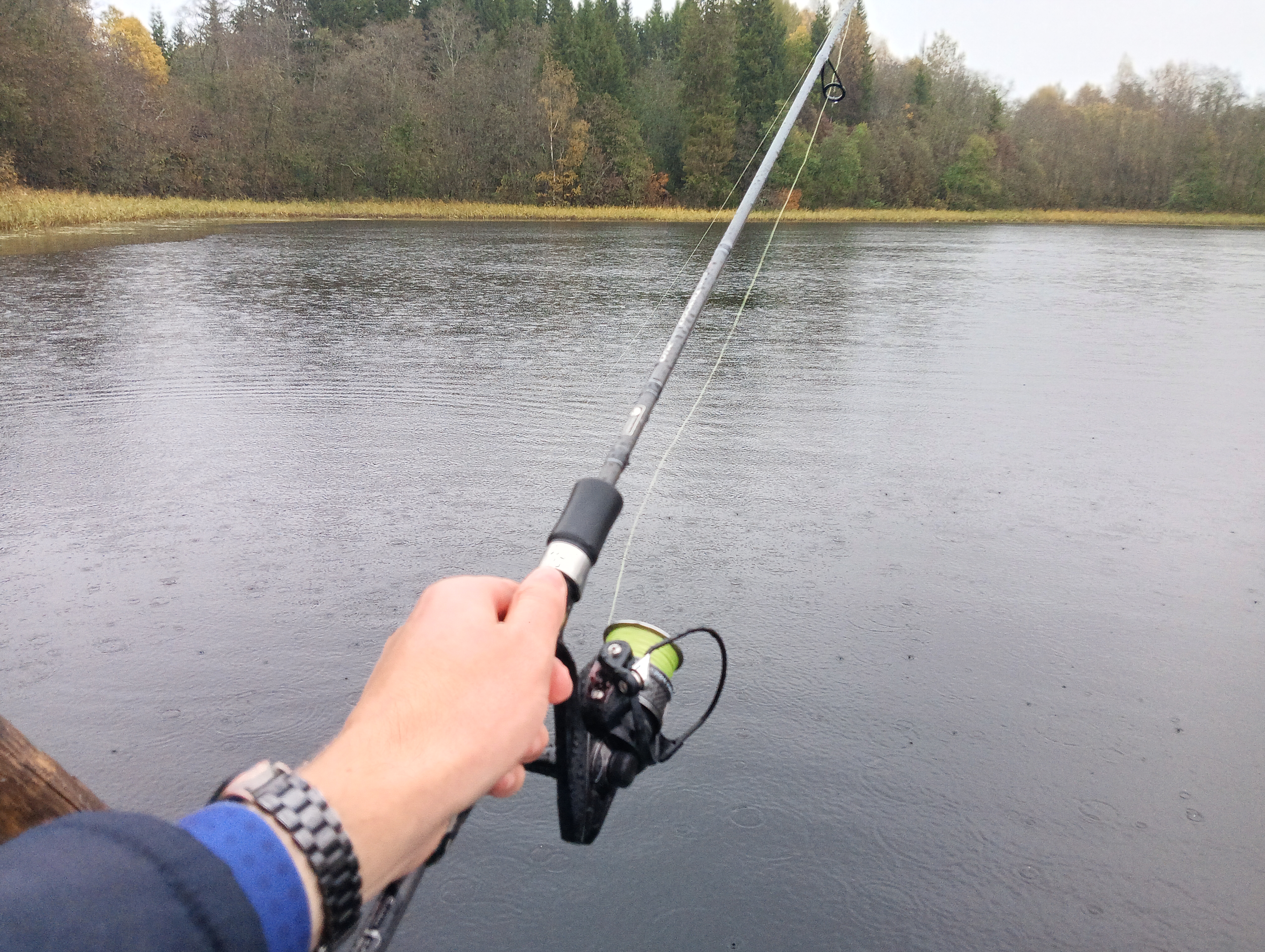 wobbler-aqua-kloss-and-two-pikes-fishing-against-the-forecast