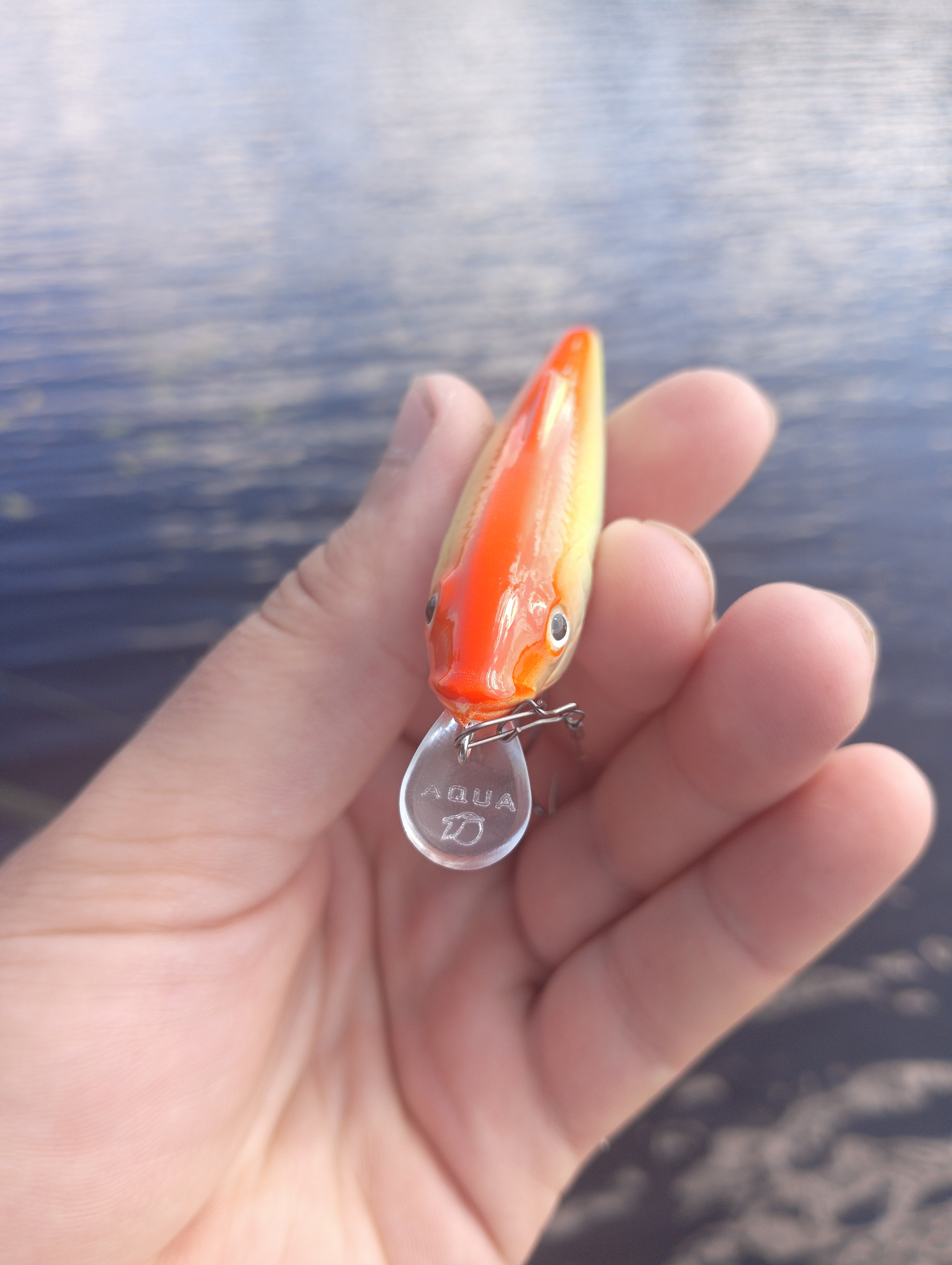 vobler-i-taktika-kak-ugovorit-shchuku-na-poklevku vobler-i-taktika-kak-ugovorit-shchuku-na-poklevku