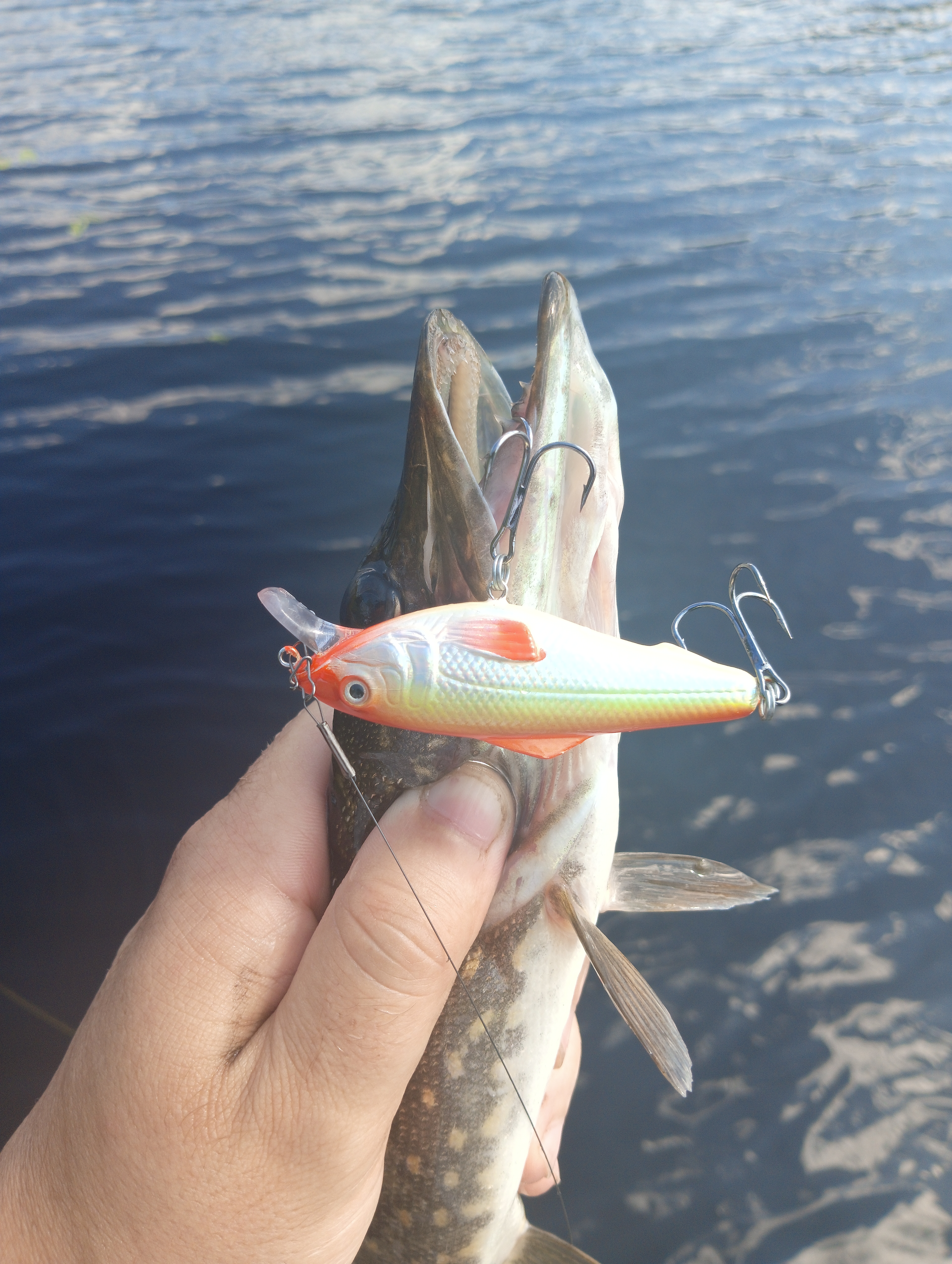 vobler-i-taktika-kak-ugovorit-shchuku-na-poklevku vobler-i-taktika-kak-ugovorit-shchuku-na-poklevku