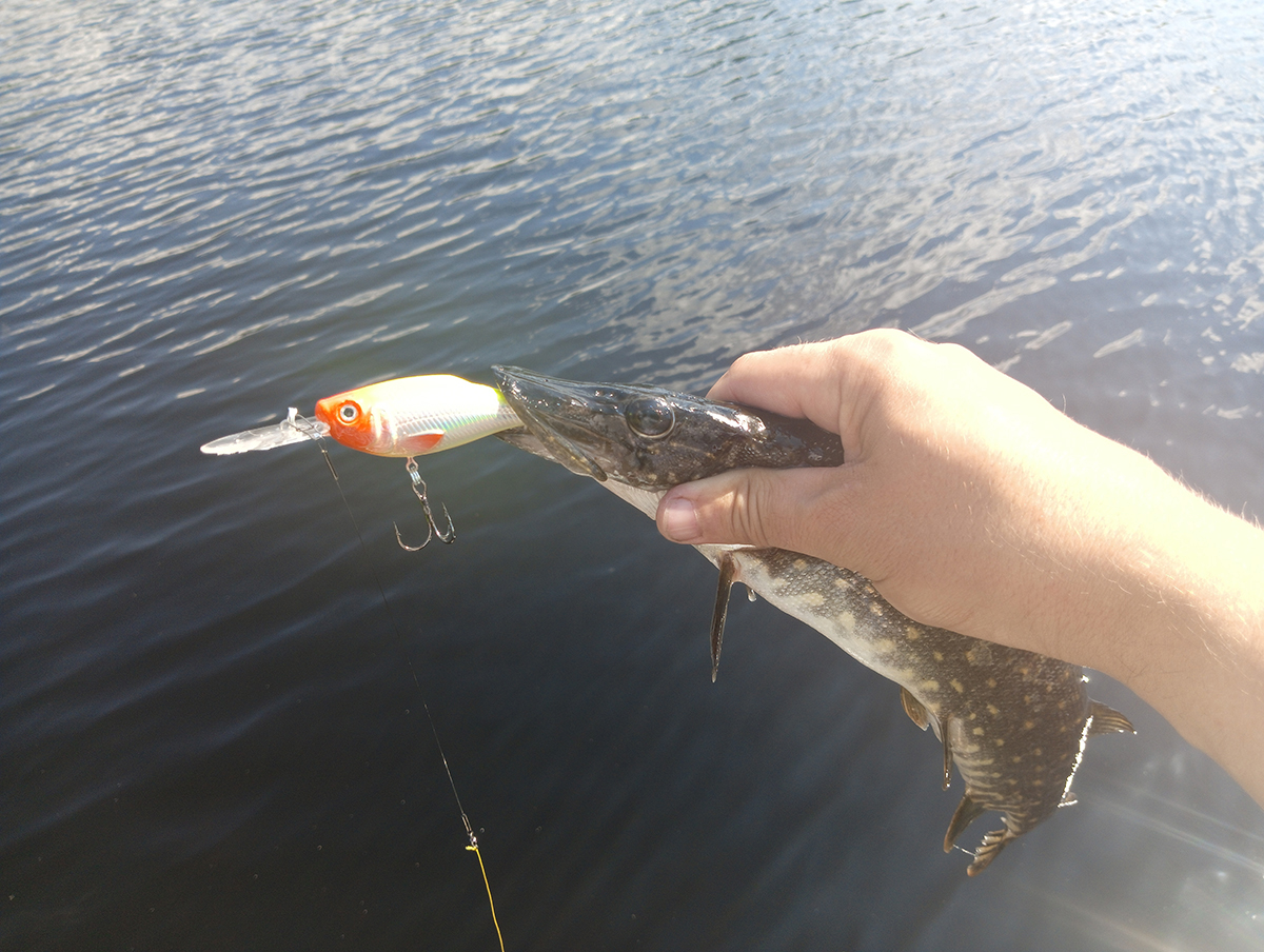 shaman-dr-ot-aqua-testiruem-zaglublenie-i-igru-na-praktike shaman-dr-ot-aqua-testiruem-zaglublenie-i-igru-na-praktike