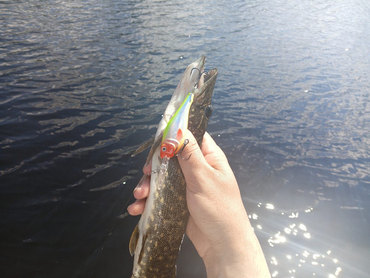 shaman-dr-ot-aqua-testiruem-zaglublenie-i-igru-na-praktike shaman-dr-ot-aqua-testiruem-zaglublenie-i-igru-na-praktike