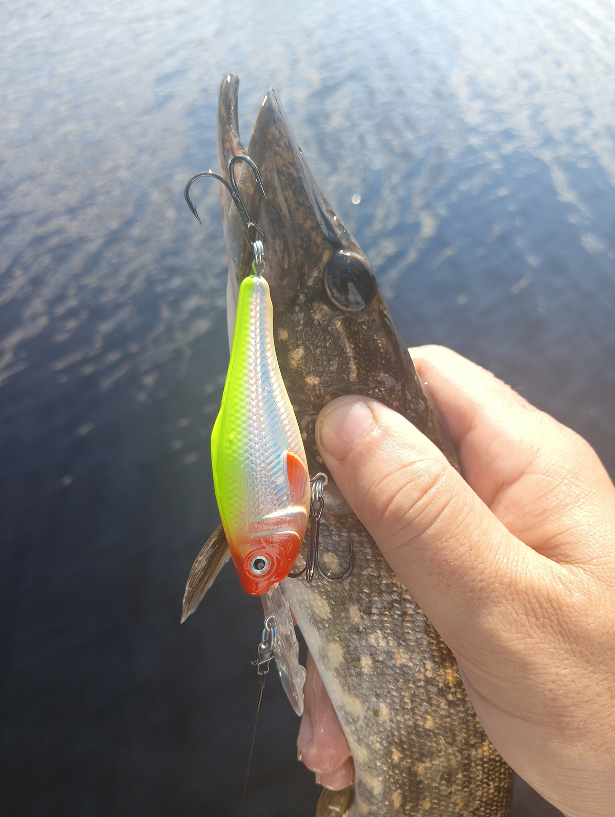 shaman-dr-ot-aqua-testiruem-zaglublenie-i-igru-na-praktike shaman-dr-ot-aqua-testiruem-zaglublenie-i-igru-na-praktike