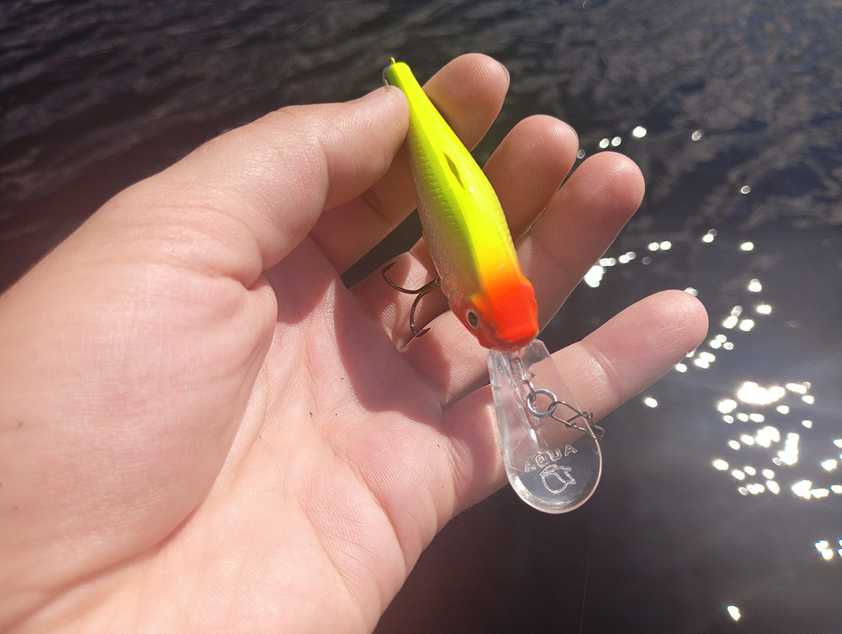 shaman-dr-ot-aqua-testiruem-zaglublenie-i-igru-na-praktike shaman-dr-ot-aqua-testiruem-zaglublenie-i-igru-na-praktike