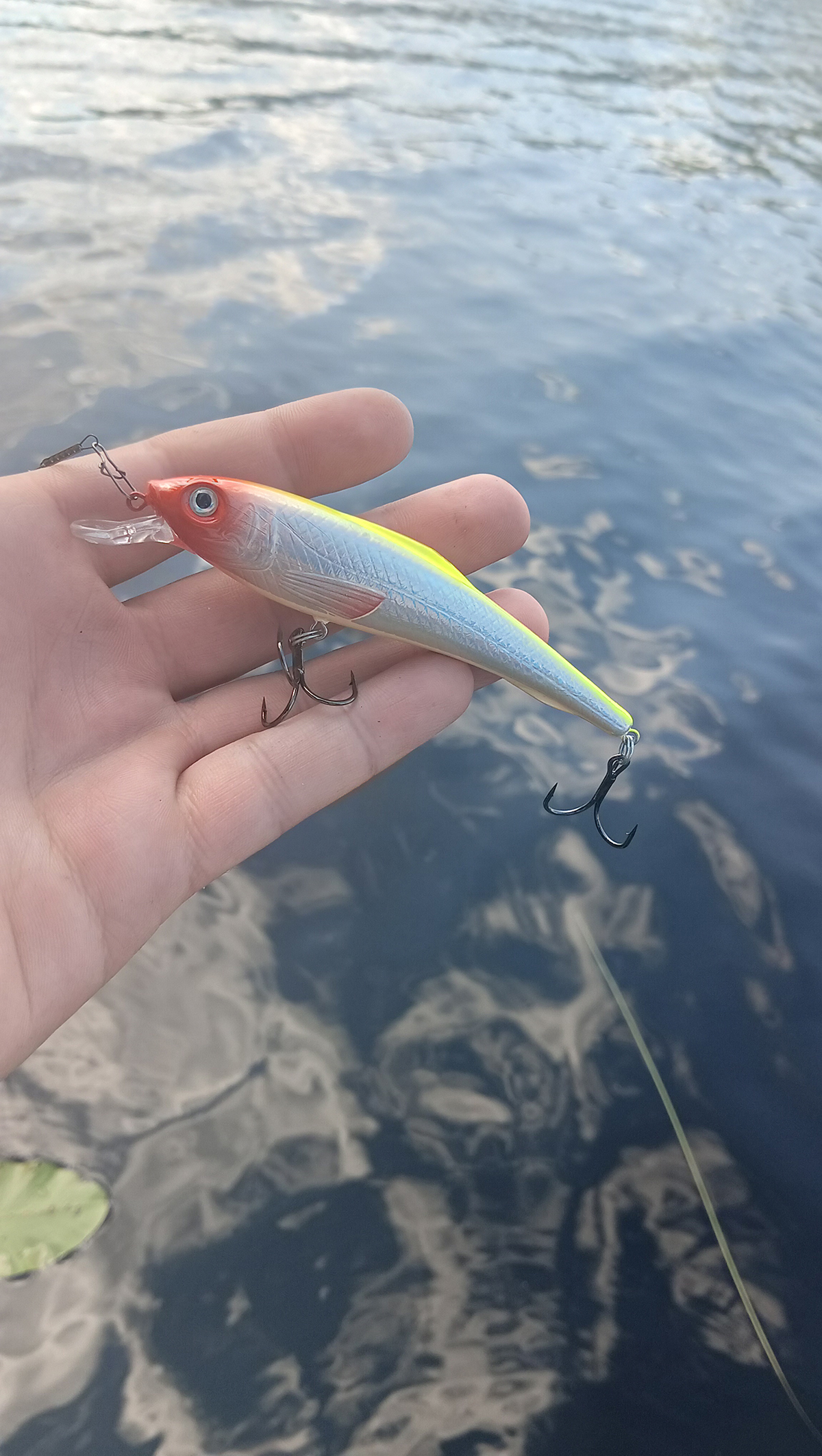 rivkovaya-provodka-protiv-somnevayushcheysya-shchuki-opit-s-voblerom-aqua-tantsortxt