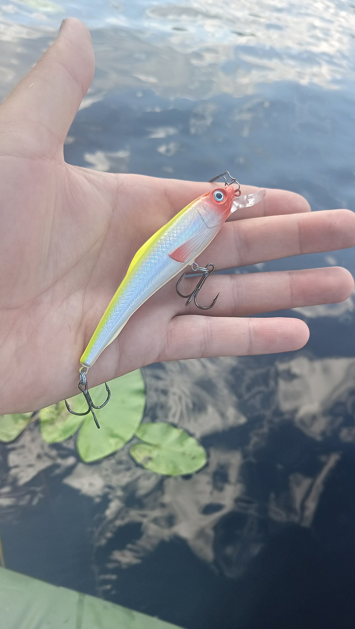 rivkovaya-provodka-protiv-somnevayushcheysya-shchuki-opit-s-voblerom-aqua-tantsortxt