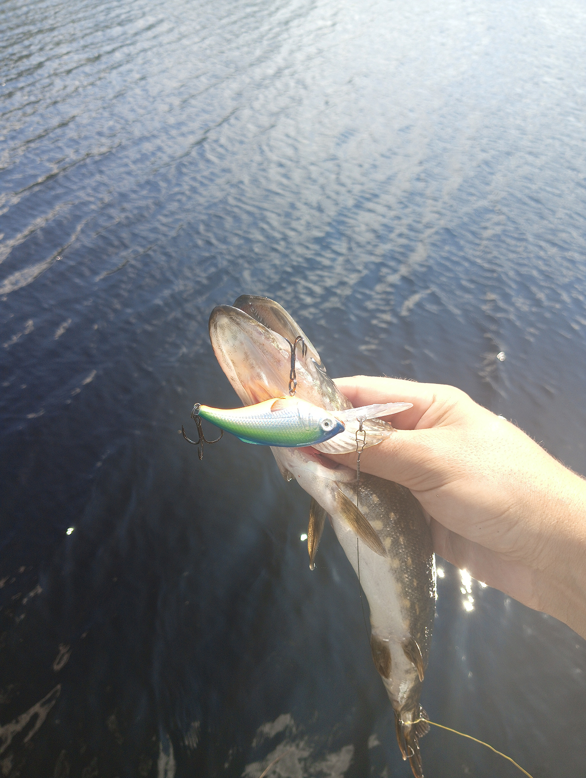 shchuka-na-glubokovodniy-krenk-praktika-s-voblerom-aqua-tolstyak shchuka-na-glubokovodniy-krenk-praktika-s-voblerom-aqua-tolstyak