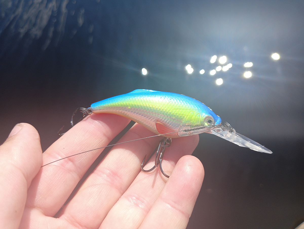 shchuka-na-glubokovodniy-krenk-praktika-s-voblerom-aqua-tolstyak shchuka-na-glubokovodniy-krenk-praktika-s-voblerom-aqua-tolstyak