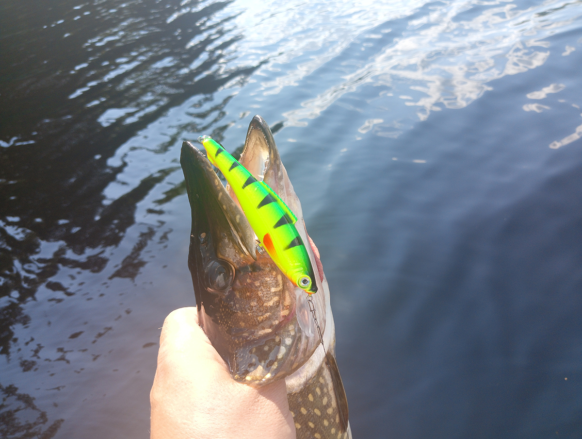 poisk-i-lovlya-shchuki-dva-ulova-na-vobler-aqua-leshiy poisk-i-lovlya-shchuki-dva-ulova-na-vobler-aqua-leshiy