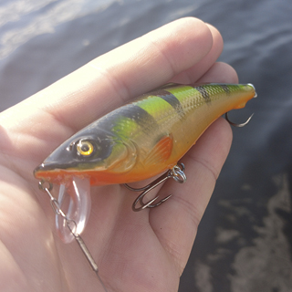 Воблер AQUA  Гу-Га против капризной щуки