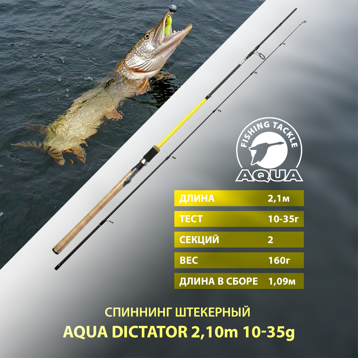 Спиннинг штекерный для рыбалки AQUA DICTATOR