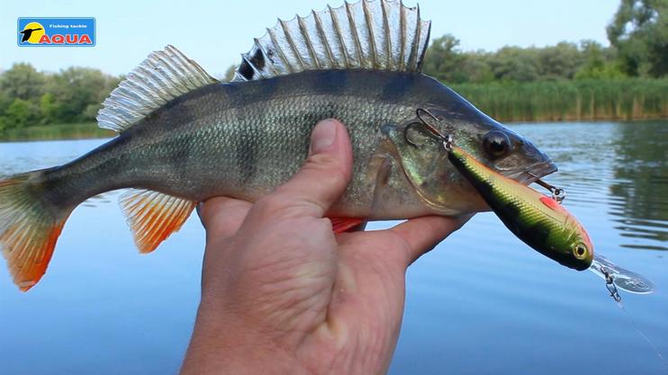 Воблер для рыбалки AQUA SHAMAN (Шаман)