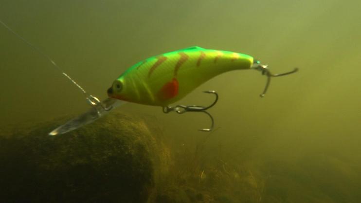 Воблер рыбалки AQUA ТОЛСТЯК DR-66